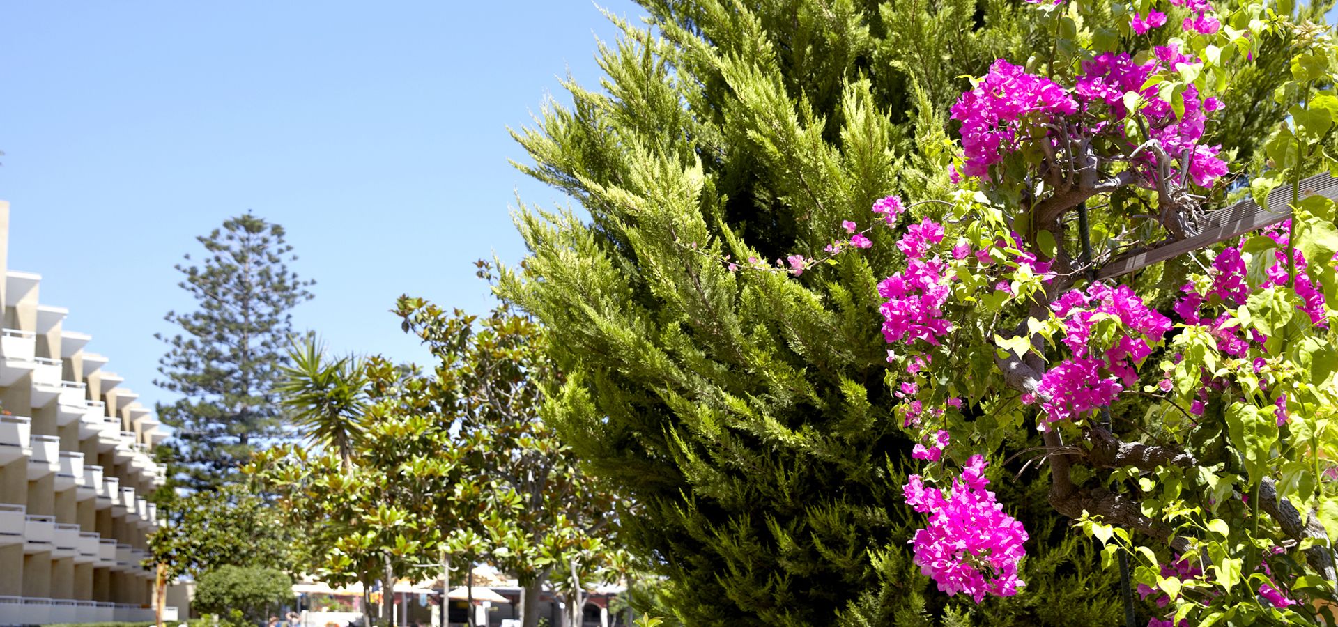 Sunshine Rhodes Hotel | Holidays in Rhodes | Beachfront Hotel